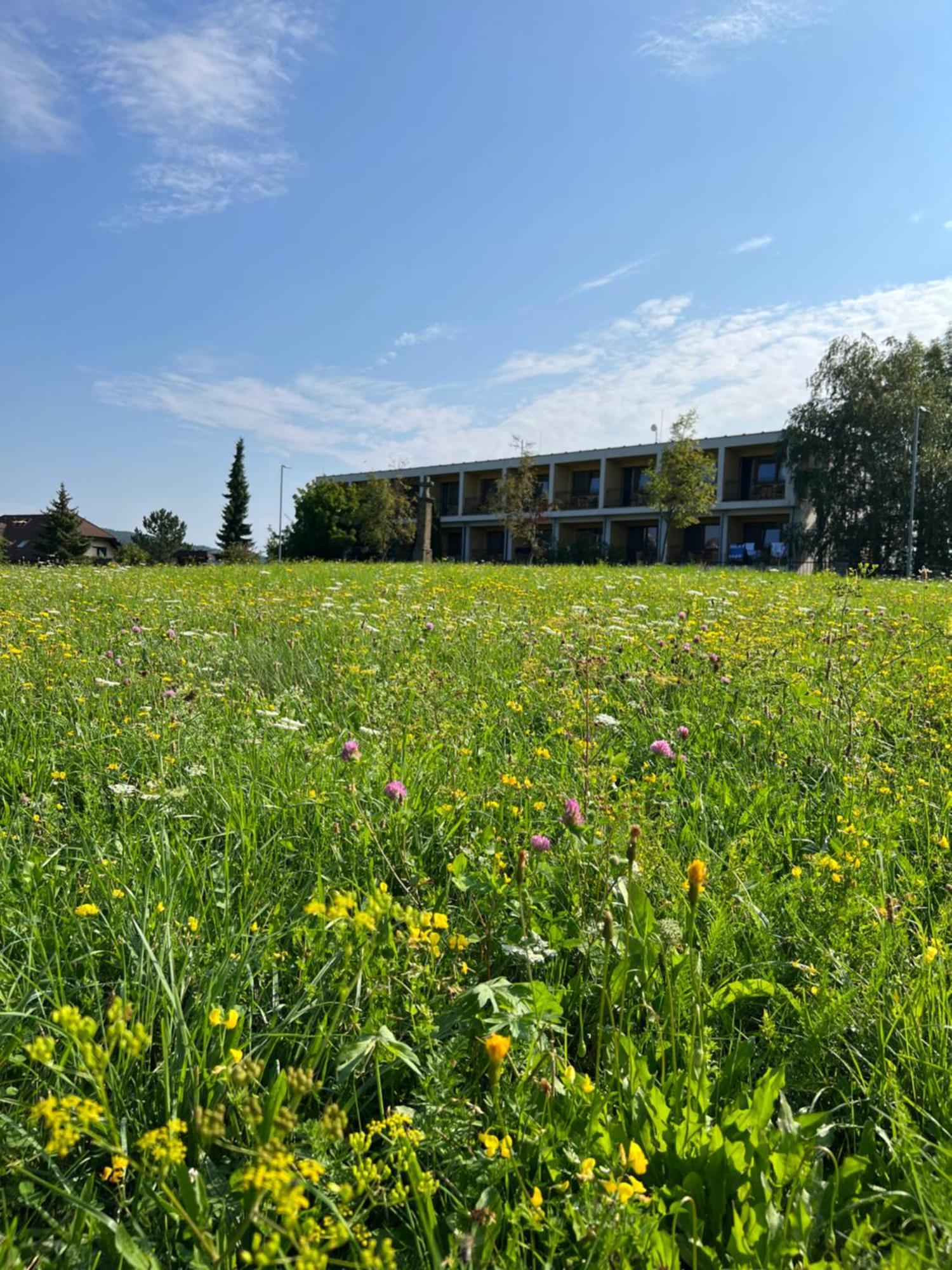 Lazensky A Wellness Hotel Nivamare Luhačovice Exterior foto